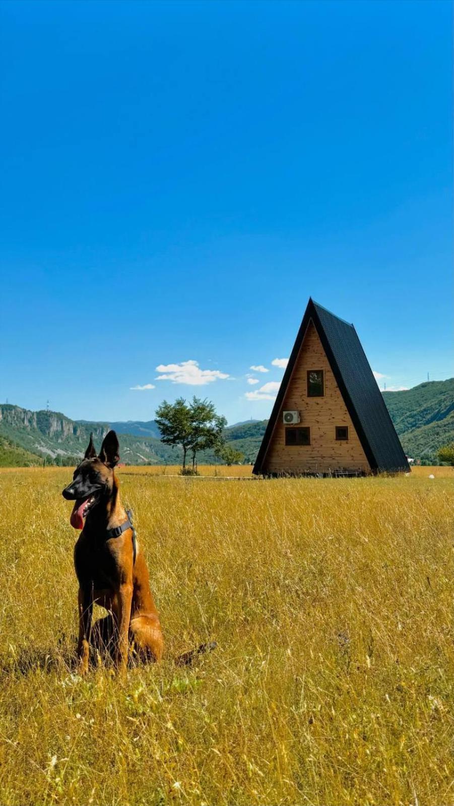 Silence House Villa Savnik Exterior photo